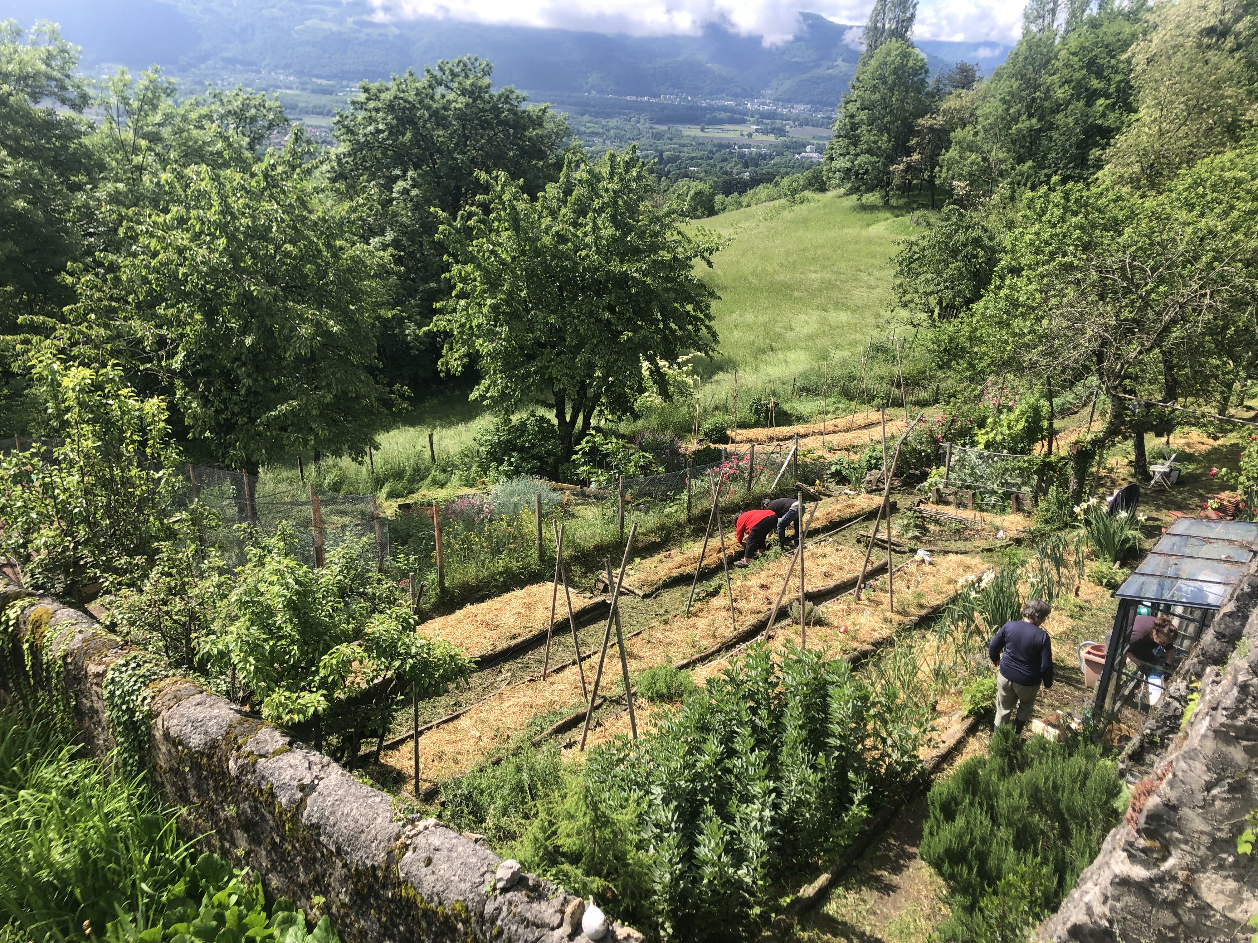 Amar et jardiner – Semaine