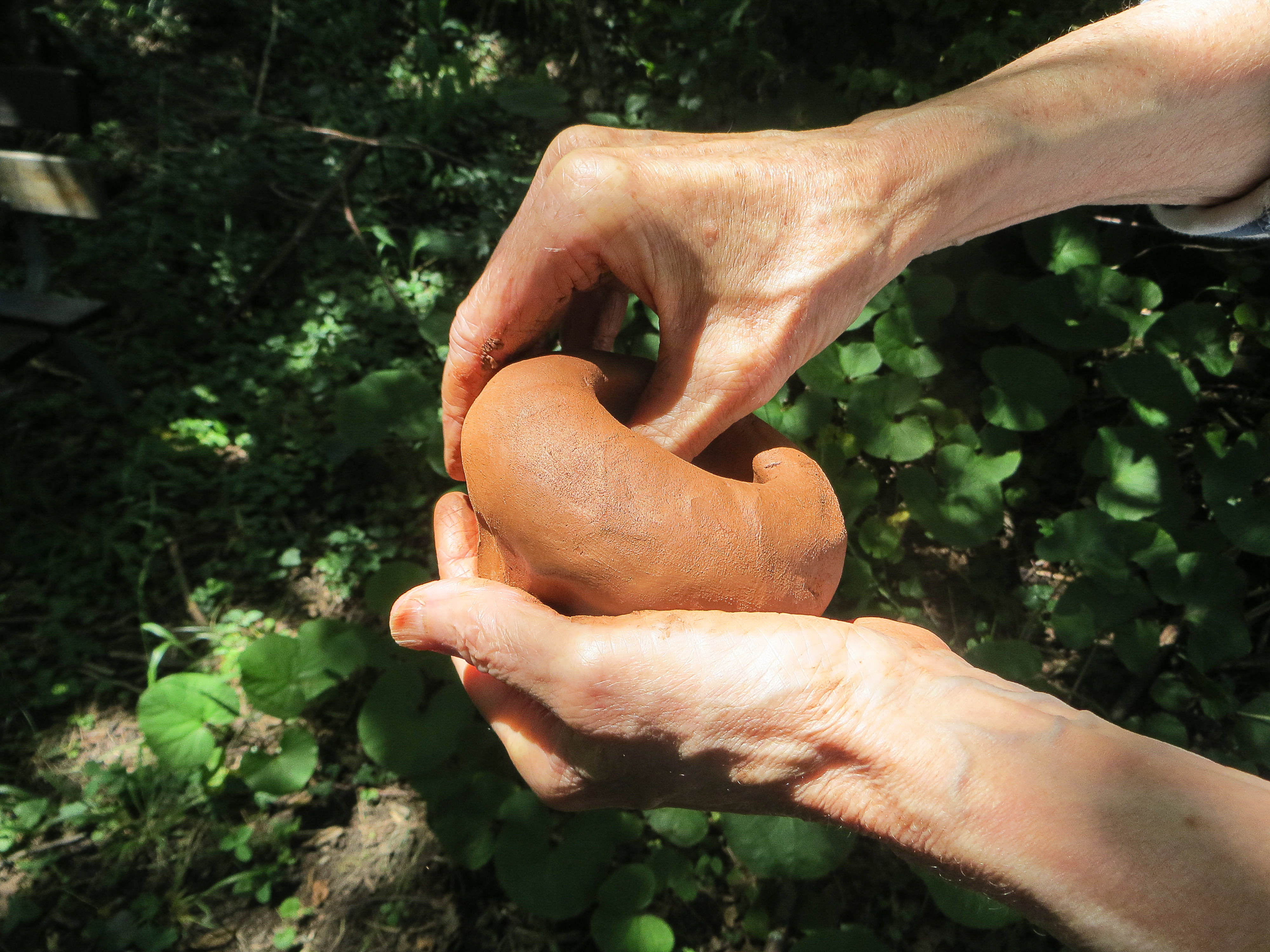 Avec de la terre entre les mains