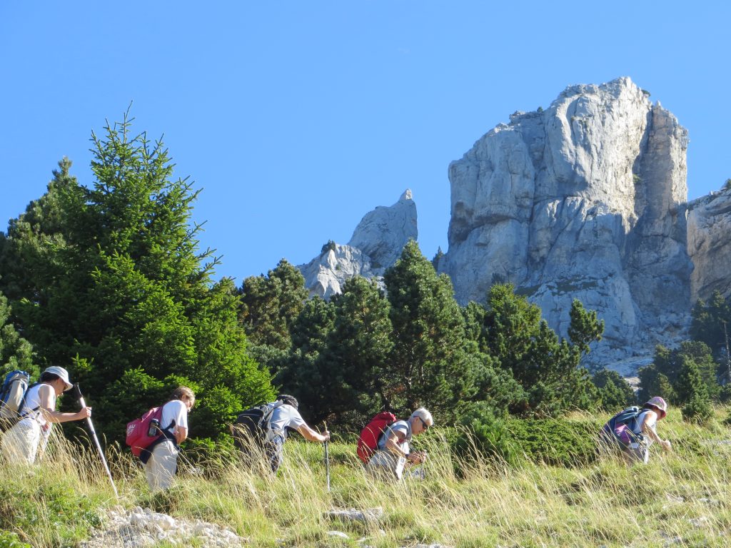 Goûter à l’écologie intégrale en montagne
