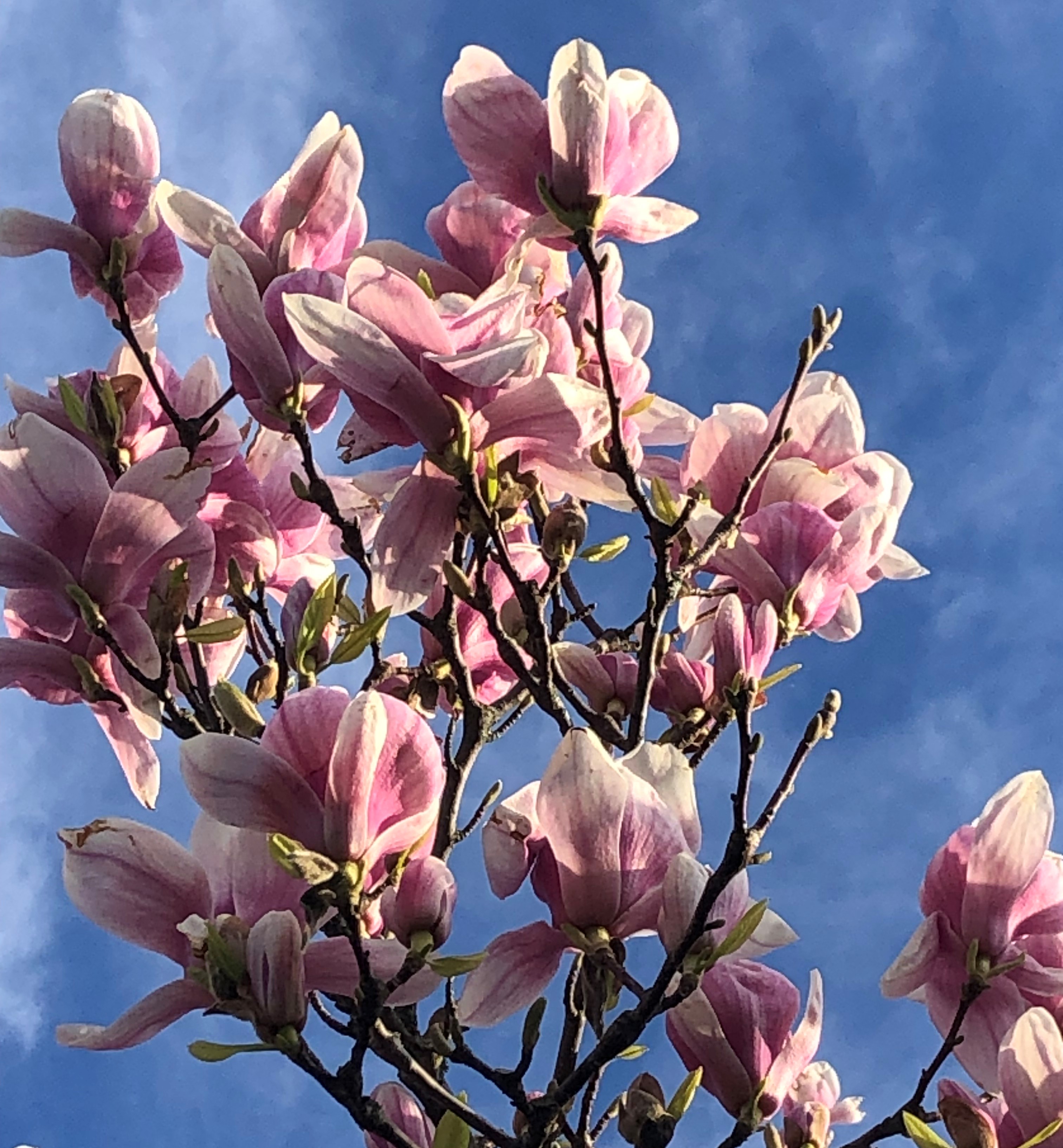 Travail qui Relie et Exercices spirituels