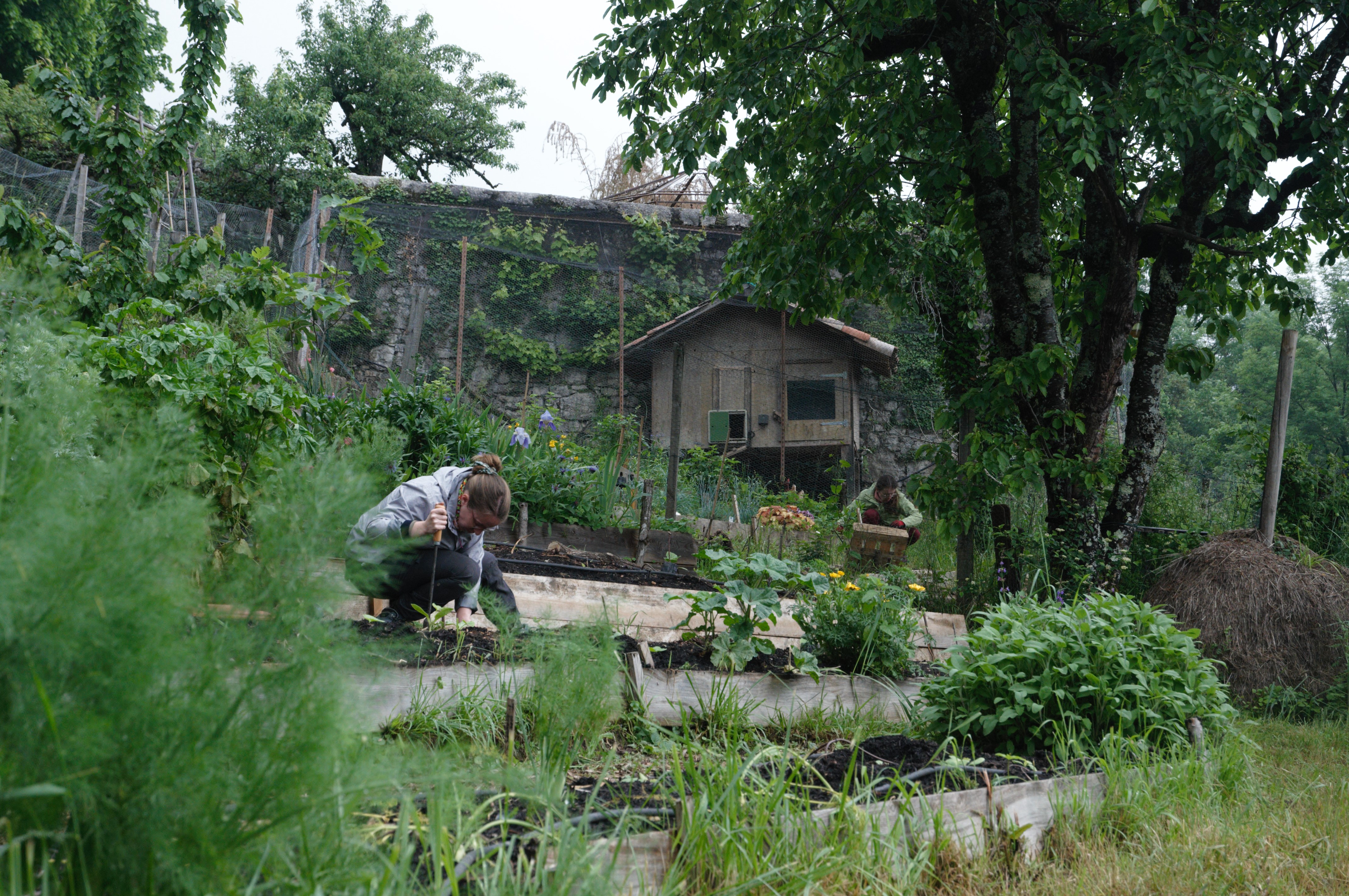 Se former à la permaculture au fil des saisons